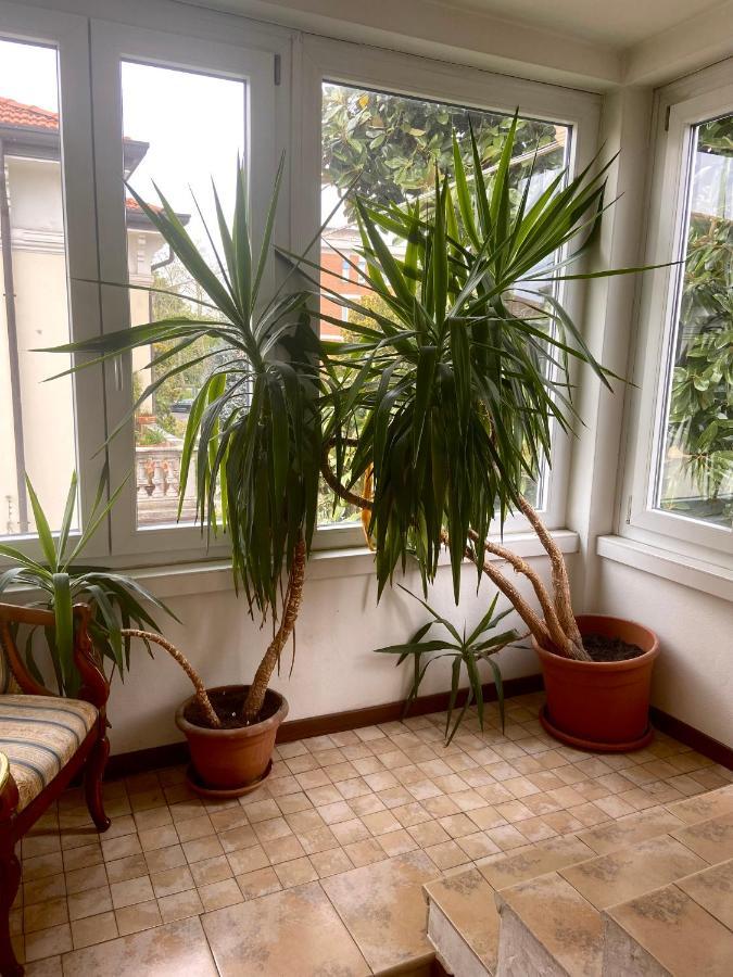B&B Magnolia Верона Экстерьер фото