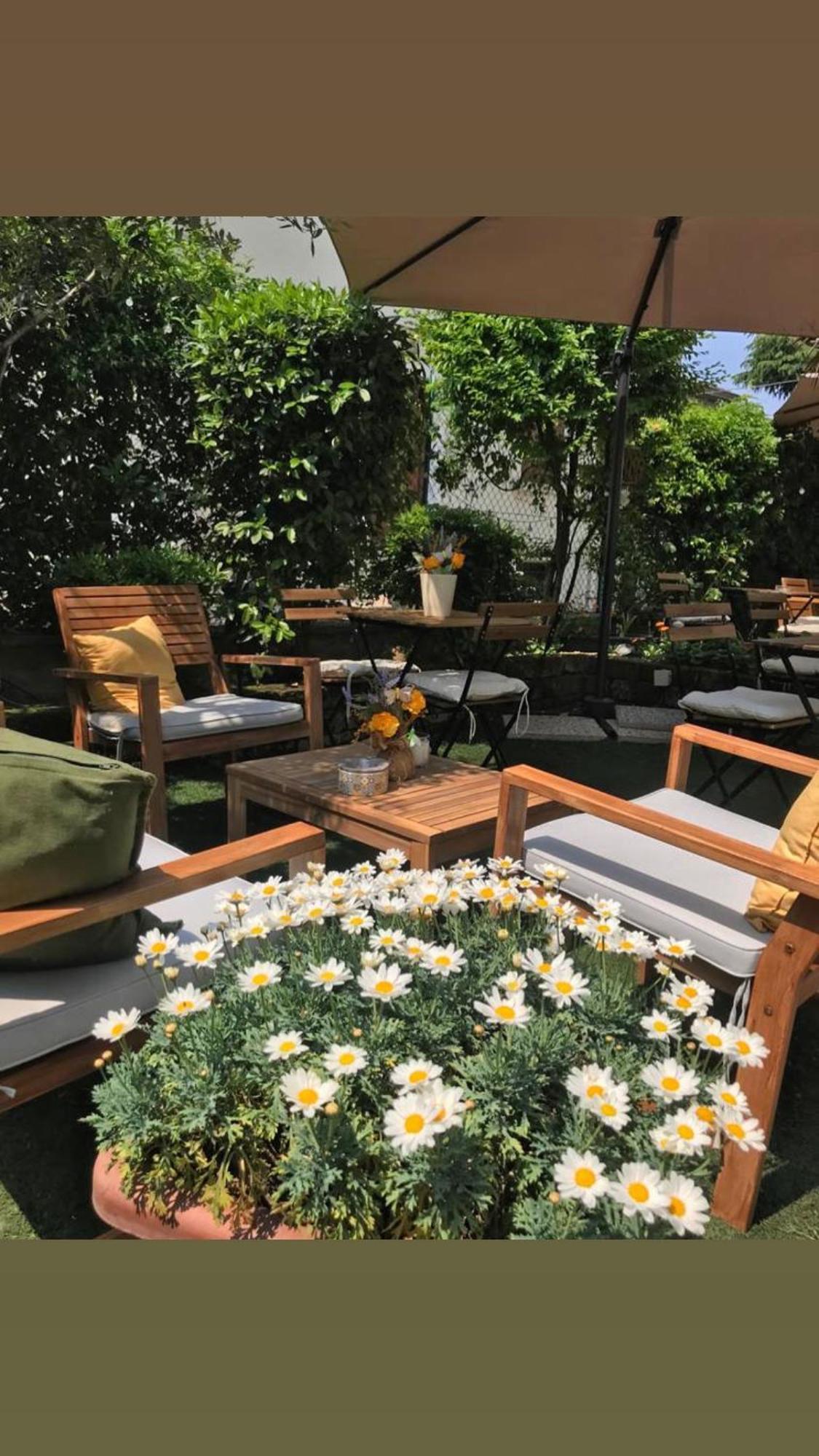 B&B Magnolia Верона Экстерьер фото